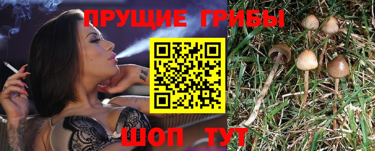 Галлюциногенные грибы MAGIC MUSHROOMS Краснокаменск